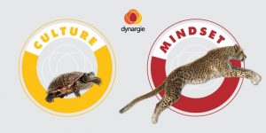 Menos Cultura, Mais Mindset